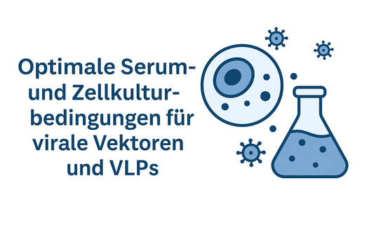 Viral Vektoren und VLPs