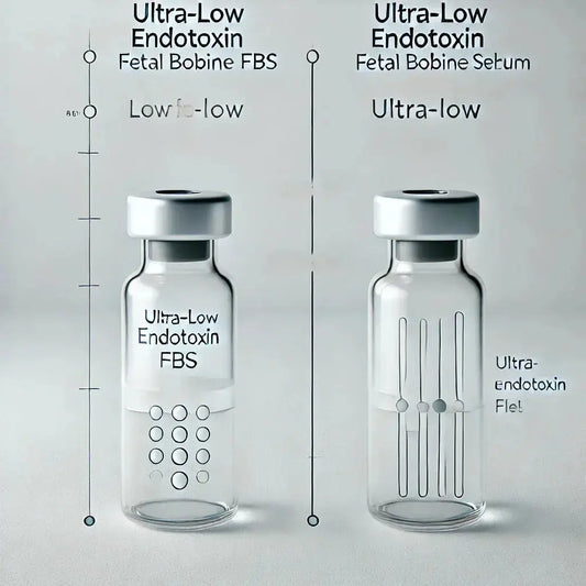 Ultra-Low Endotoxin FBS: Wenn Standard Low Endotoxin nicht ausreicht - SeamlessBio