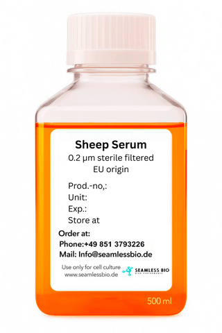 Sheep Serum – EU Origin | Sterile Filtered (0.2 µm) | 100 mL & 500 mL