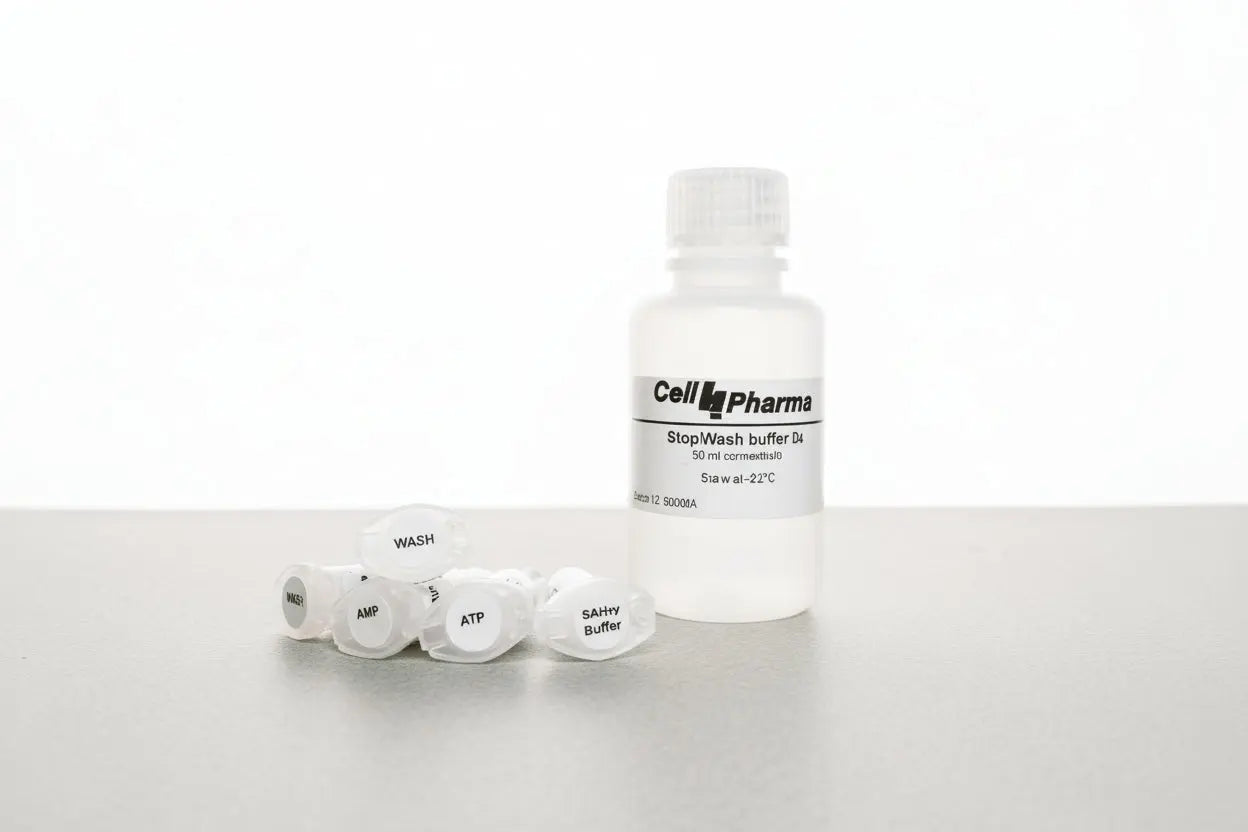 BSEP Kit Vesicle 