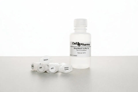 BSEP Kit Vesicle 
