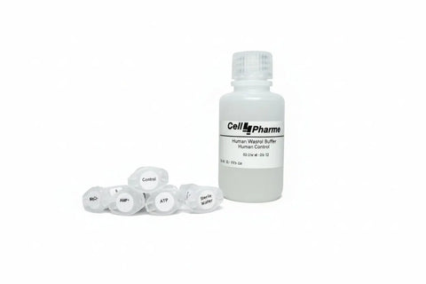 Human Control Vesicle Kit (HEK293 derived) | Empty Vector | Negative Control for All ABC Transporter Assays - SeamlessBio