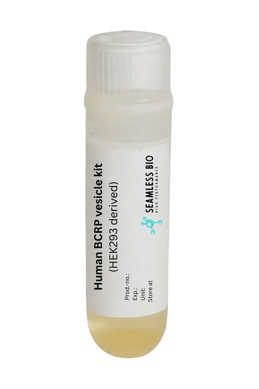 Human BCRP vesicle kit (HEK293 derived)