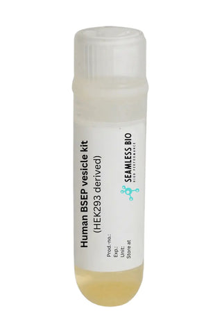 Human BSEP Vesicle Kit (HEK293-derived) – Bile Salt Export Pump Assay | 100 Reactions