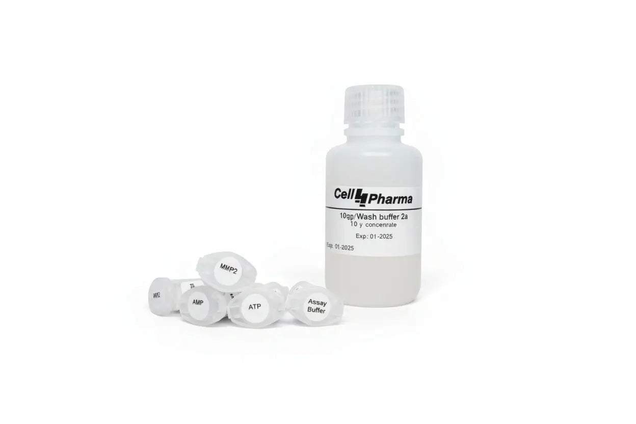 Human MRP2 Vesicle Kit (HEK293 derived) | ABCC2 | Biliary Excretion DDI Assay | 100 Reactions