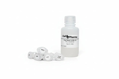 Human MRP2 Vesicle Kit (HEK293 derived) | ABCC2 | Biliary Excretion DDI Assay | 100 Reactions