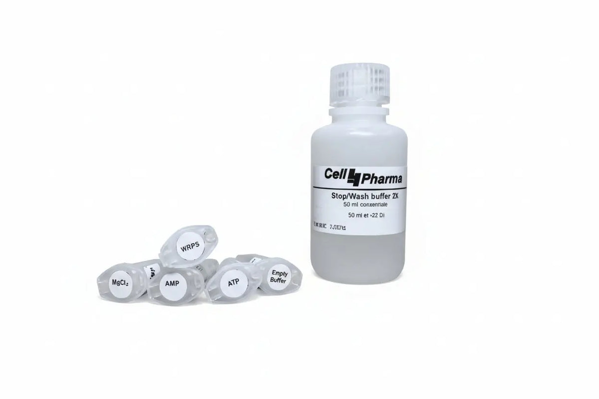 Human MRP5 Vesicle Kit (HEK293 derived) | ABCC5 | Nucleotide & Organic Anion Transport | 100 Reactions